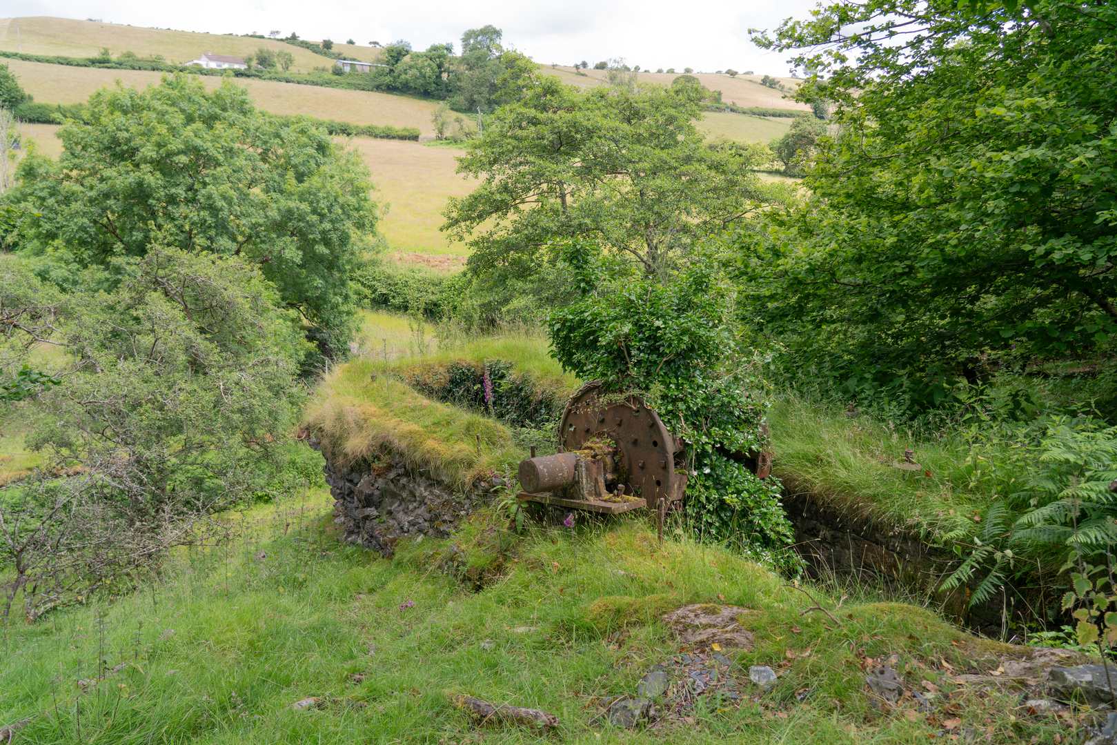 Bronfloyd 2014, submitted by Dickie Bird on 14-03-2026.
© Richard Bird Bronfloyd 2014